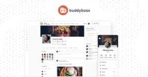 BuddyBoss Theme
