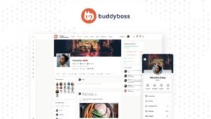 BuddyBoss Theme