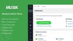 Musik - Wordpress Admin Theme