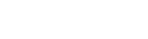Logo Pluginwp Blanco