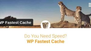 WP Fastest Cache Premium